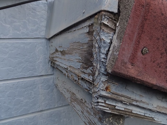 下地の木材が腐食している